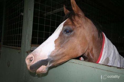 Property photo of 40 Seaham Street Holmesville NSW 2286