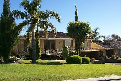 35 Guelfi Rd, Balcatta, WA 6021