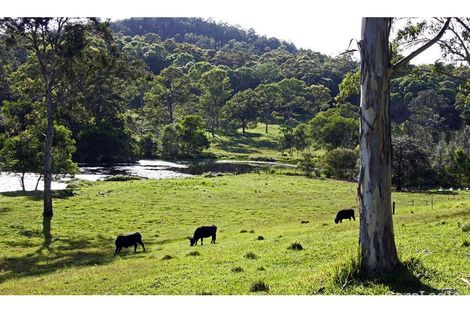 Property photo of 79 Eumundi Range Road Eumundi QLD 4562