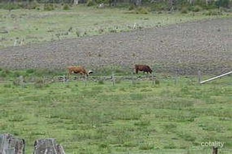 Property photo of 364 New Country Marsh Road Woodsdale TAS 7120