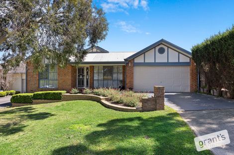 Property photo of 7 Caledonia Court Berwick VIC 3806