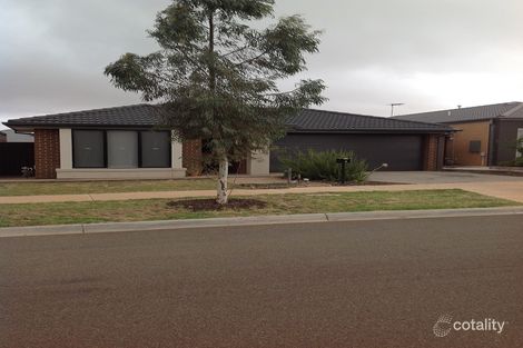 3 Mayfield St, Cobblebank, VIC 3338