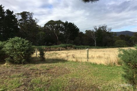 Property photo of 11 Chaffey Street Gladstone TAS 7264