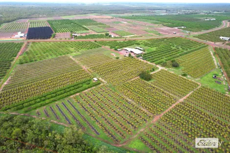 125 Buckley Rd, Lambells Lagoon, NT 0822