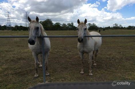 205 Youngs Rd, Hemmant, QLD 4174