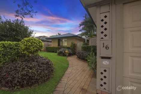 Property photo of 16 Eucalypt Street Palm Beach QLD 4221