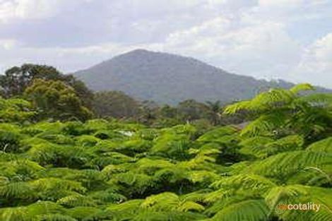 Property photo of 22 Hibiscus Drive Valla Beach NSW 2448