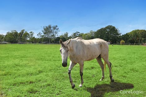 Property photo of 137 Burtons Road Bridges QLD 4561