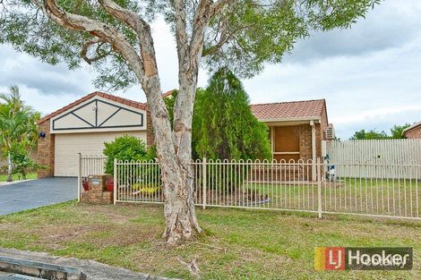 53 Azalea Cres, Fitzgibbon, QLD 4018