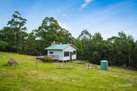 1969 Towamba Rd, Towamba, NSW 2550