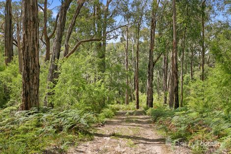 525 Old Toolangi-Dixons Creek Rd, Dixons Creek, VIC 3775
