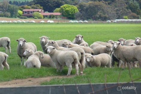 1926 Cressy Rd, Cressy, TAS 7302