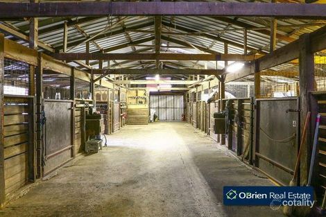 Property photo of 41 Browns Road Devon Meadows VIC 3977