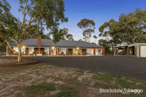Property photo of 159 Murradoc Road Drysdale VIC 3222