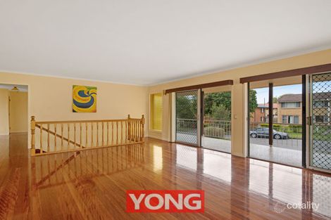 Property photo of 19 Lorrimore Street Macgregor QLD 4109