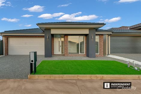 20 Ivory St, Cobblebank, VIC 3338