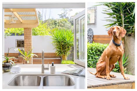 Property photo of 2/44B Consul Road Brookvale NSW 2100