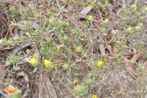 Lot 1 Kennys Rd, Cadgee, SA 5271