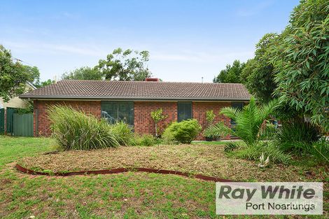Property photo of 11 St Helena Street Flagstaff Hill SA 5159