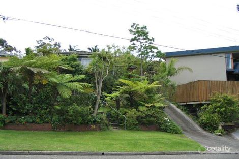Property photo of 24 Larissa Road Allambie Heights NSW 2100