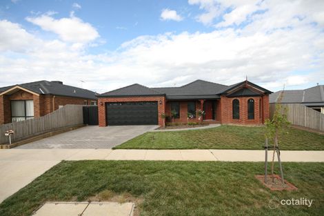 61 Fogarty Ave, Highton, VIC 3216