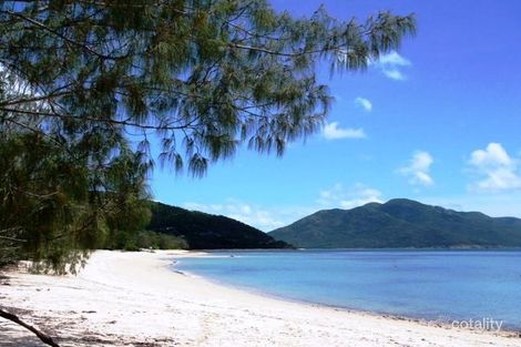 Property photo of 53 Gloucester Avenue Hideaway Bay QLD 4800