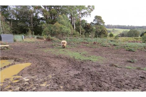 Property photo of 369 Beulah Road Beulah TAS 7306