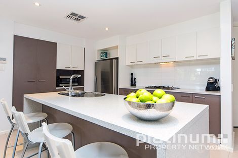 Property photo of 103 Folland Avenue Lightsview SA 5085