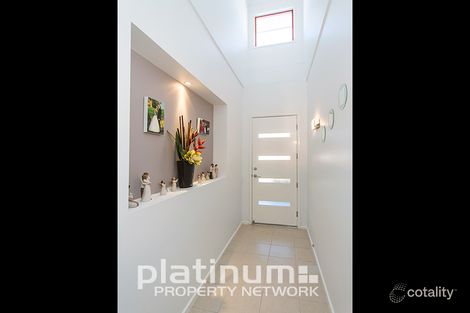 Property photo of 103 Folland Avenue Lightsview SA 5085