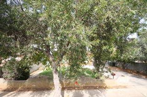 17 Ena St, Croydon Park, SA 5008