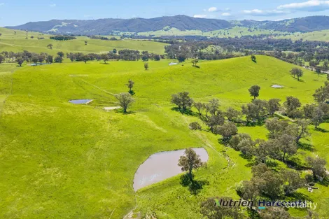 61 Guymers Rd, Homewood, VIC 3717
