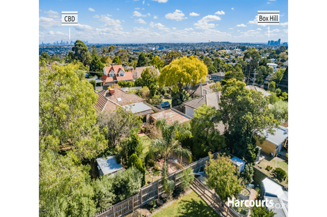 Property photo of 11 Tarella Drive Mount Waverley VIC 3149