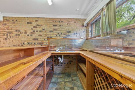 Property photo of 4 Picasso Street Carina QLD 4152