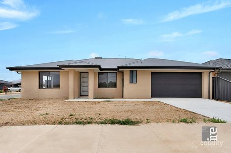 61 Salisbury St, Wangaratta, VIC 3677