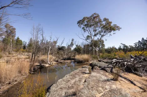 250 SPRINGWOOD PARK RD, COPE, NSW 2852