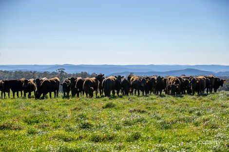 193 Faheys And Bulgins Rd, Hernani, NSW 2453