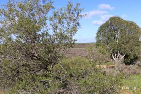 Property photo of 3 Govt Road Loxton SA 5333