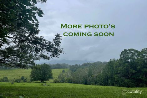 31 Blade Rd, Nimbin, NSW 2480