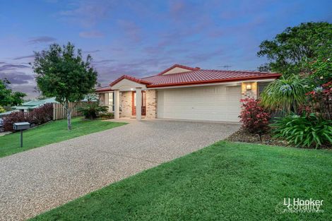 Property photo of 10 Rio Court Underwood QLD 4119