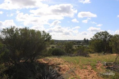 Property photo of 3 Govt Road Loxton SA 5333