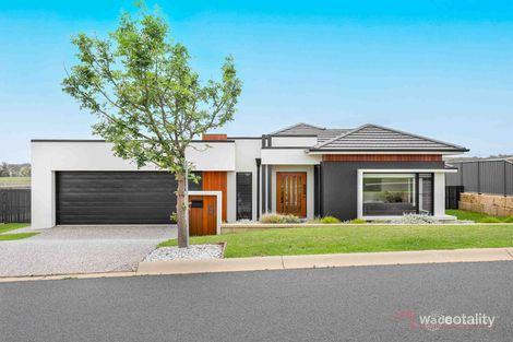 8 Lakeview Ave, Rosenthal Heights, QLD 4370