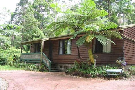 104 Kinabalu Dr, Tamborine Mountain, QLD 4272