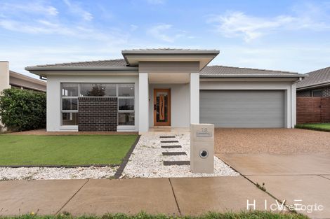 Property photo of 18 Casilda Street Harrison ACT 2914