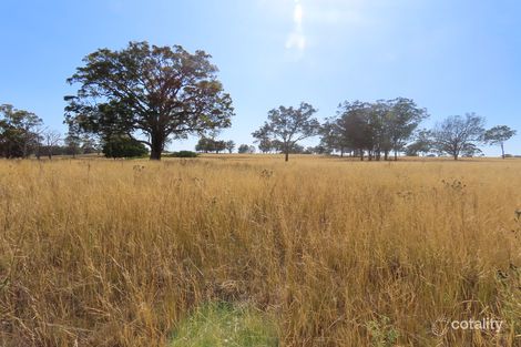 665 Polhill Rd, Wellingrove, NSW 2370