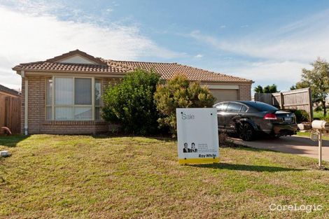 Property photo of 31 Dornoch Crescent Raceview QLD 4305
