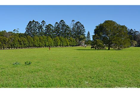 Property photo of 204 Mountain View Road Maleny QLD 4552