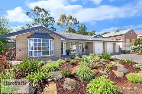 Property photo of 14 Naughton Court Greenwith SA 5125