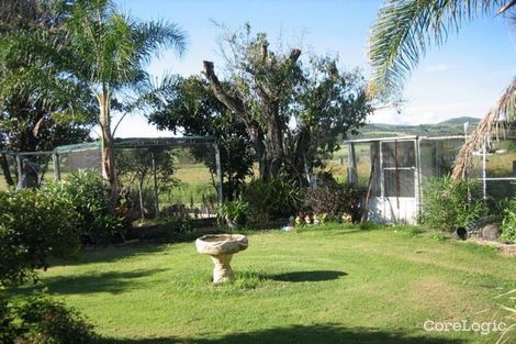 Property photo of 19 Kurrajong Street Killarney QLD 4373