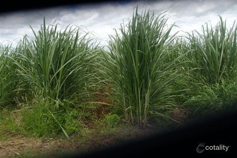 383 Hummock Rd, Woongarra, QLD 4670