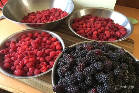 Property photo of 388 Argyle Street North Hobart TAS 7000